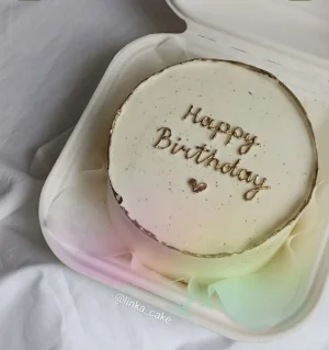 Vanilla Bento Cake